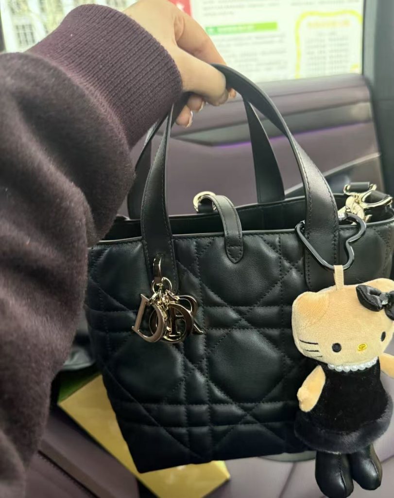 디올 뚜주흐 스몰 버티컬 토트 블랙【매장470만원대】